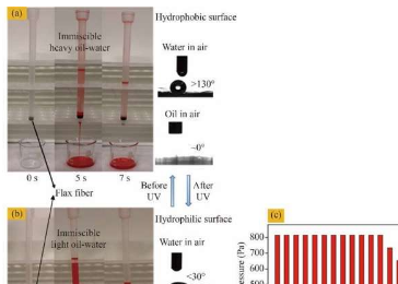 亚麻纤维疏水性和亲水性之间的桥梁为多用途油水分离提供了突破