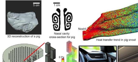 研究人员从猪鼻子中汲取灵感设计出新颖的空气过滤技术