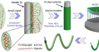 具有海藻酸锌聚合物电解质的生物相容性锌电池
