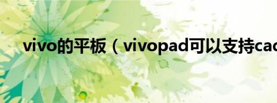 vivo的平板（vivopad可以支持cad吗）