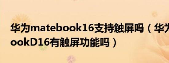 华为matebook16支持触屏吗（华为matebookD16有触屏功能吗）