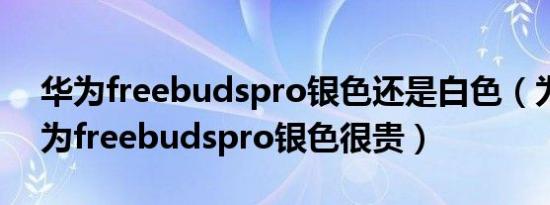 华为freebudspro银色还是白色（为什么华为freebudspro银色很贵）