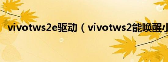 vivotws2e驱动（vivotws2能唤醒小v吗）