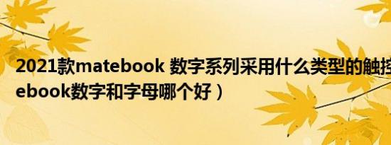 2021款matebook 数字系列采用什么类型的触控板?（matebook数字和字母哪个好）