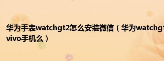 华为手表watchgt2怎么安装微信（华为watchgt2可以连接vivo手机么）