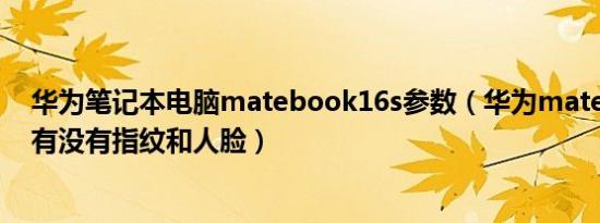 华为笔记本电脑matebook16s参数（华为matebook16S有没有指纹和人脸）