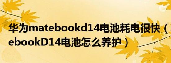 华为matebookd14电池耗电很快（华为matebookD14电池怎么养护）