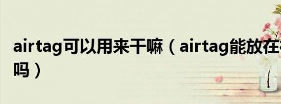 airtag可以用来干嘛（airtag能放在行李箱上吗）