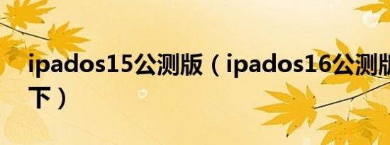 ipados15公测版（ipados16公测版从哪里下）