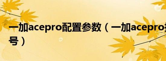 一加acepro配置参数（一加acepro扬声器型号）