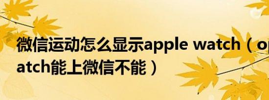 微信运动怎么显示apple watch（oppo   watch能上微信不能）