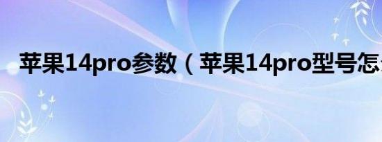 苹果14pro参数（苹果14pro型号怎么查）