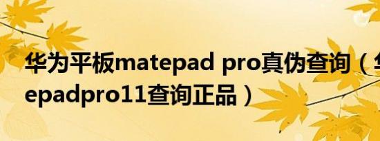 华为平板matepad pro真伪查询（华为matepadpro11查询正品）