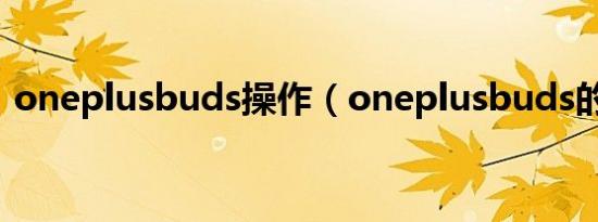 oneplusbuds操作（oneplusbuds的功能）