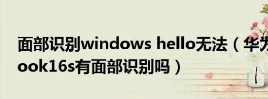 面部识别windows hello无法（华为matebook16s有面部识别吗）