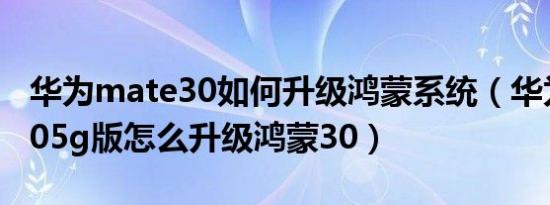 华为mate30如何升级鸿蒙系统（华为mate305g版怎么升级鸿蒙30）