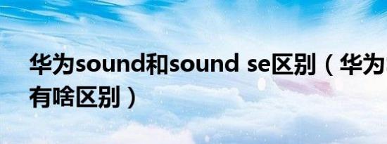 华为sound和sound se区别（华为SE和SA有啥区别）