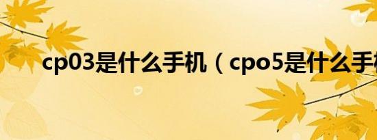 cp03是什么手机（cpo5是什么手机）