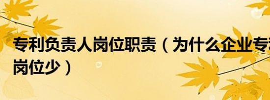 专利负责人岗位职责（为什么企业专利工程师岗位少）