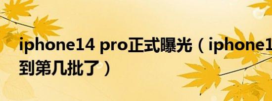 iphone14 pro正式曝光（iphone14pro发到第几批了）