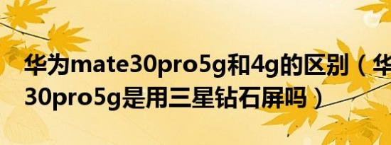 华为mate30pro5g和4g的区别（华为mate30pro5g是用三星钻石屏吗）