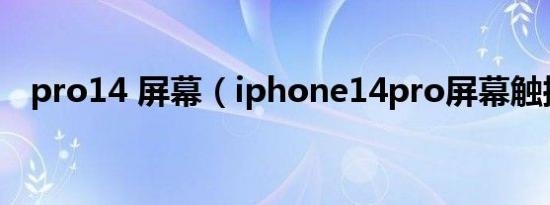 pro14 屏幕（iphone14pro屏幕触控率）