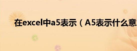 在excel中a5表示（A5表示什么意思）