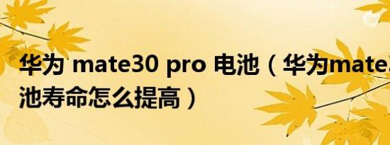 华为 mate30 pro 电池（华为mate30pro电池寿命怎么提高）