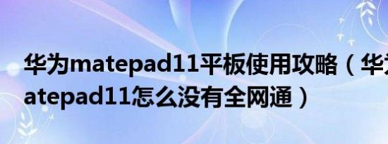 华为matepad11平板使用攻略（华为平板matepad11怎么没有全网通）