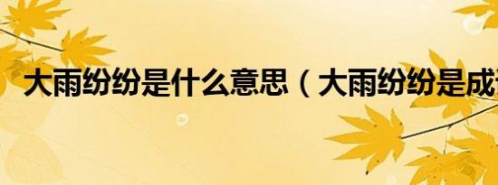 大雨纷纷是什么意思（大雨纷纷是成语吗）