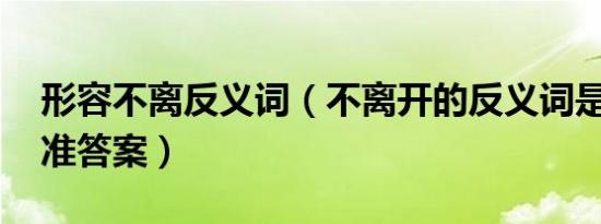 形容不离反义词（不离开的反义词是什么 标准答案）