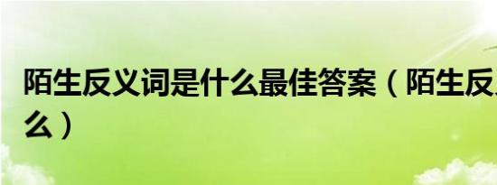 陌生反义词是什么最佳答案（陌生反义词是什么）