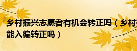 乡村振兴志愿者有机会转正吗（乡村振兴专员能入编转正吗）