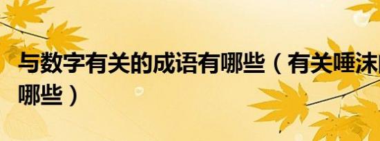 与数字有关的成语有哪些（有关唾沫的成语有哪些）