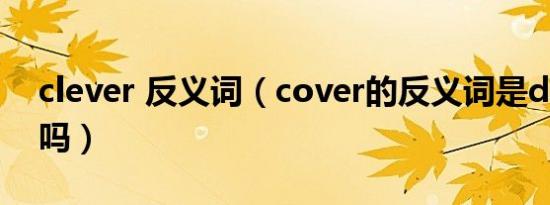 clever 反义词（cover的反义词是discover吗）