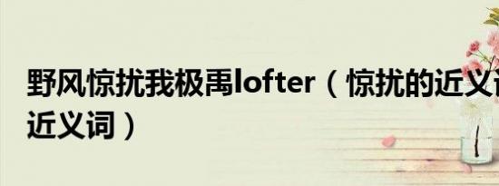 野风惊扰我极禹lofter（惊扰的近义词连忙的近义词）