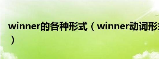 winner的各种形式（winner动词形式怎么写）