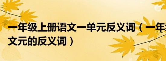 一年级上册语文一单元反义词（一年级上册语文元的反义词）