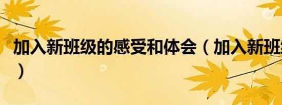 加入新班级的感受和体会（加入新班级的感受）