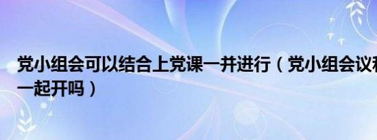 党小组会可以结合上党课一并进行（党小组会议和党课可以一起开吗）