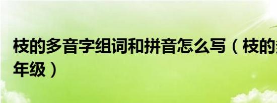 枝的多音字组词和拼音怎么写（枝的多音字三年级）