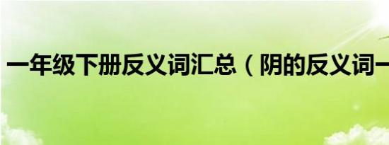 一年级下册反义词汇总（阴的反义词一年级）