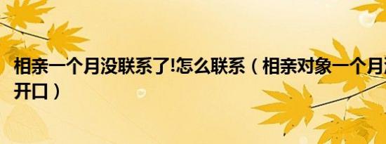 相亲一个月没联系了!怎么联系（相亲对象一个月没联系怎么开口）