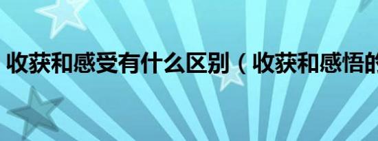 收获和感受有什么区别（收获和感悟的区别）