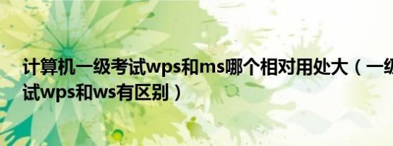 计算机一级考试wps和ms哪个相对用处大（一级计算机考试wps和ws有区别）