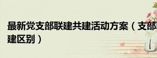 最新党支部联建共建活动方案（支部联建与共建区别）