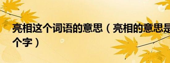 亮相这个词语的意思（亮相的意思是什么10个字）