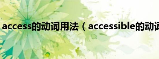 access的动词用法（accessible的动词形式）