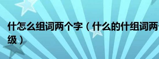 什怎么组词两个字（什么的什组词两个字一年级）