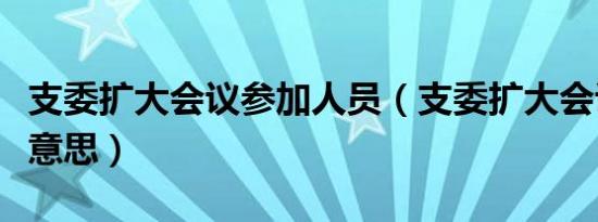 支委扩大会议参加人员（支委扩大会议是什么意思）